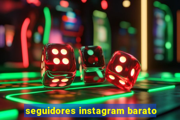 seguidores instagram barato